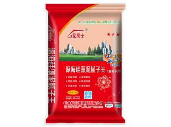 廣西膩子粉